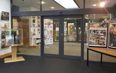 What Is BS EN 16005 for Automatic Doors in the UK?